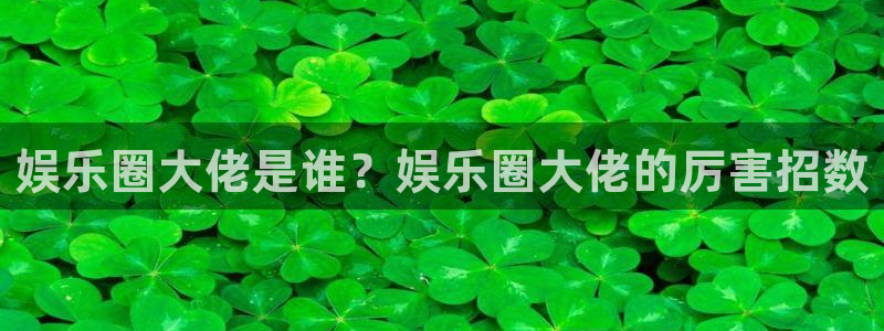 佛山市南海辉达平台机电仪器有限公司：娱乐圈大佬是谁？娱乐圈大佬的厉害招数