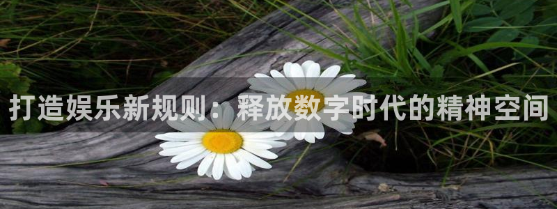 辉达平台代理注册官网入口：打造娱乐新规则：释放数字时代的精神空间