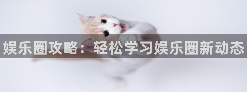辉达平台：娱乐圈攻略：轻松学习娱乐圈新动态