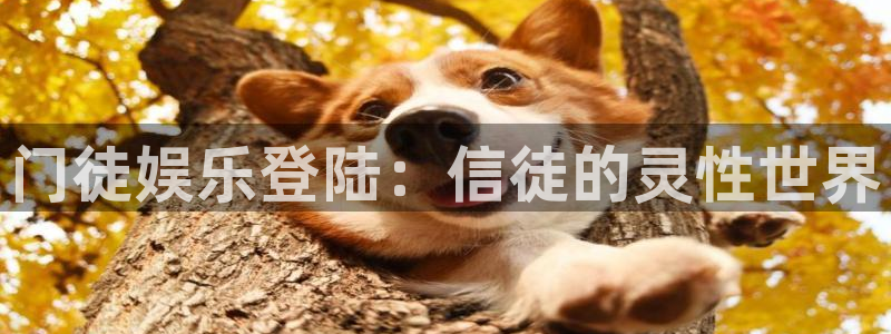辉达平台体育2官网入口：门徒娱乐登陆：信徒的灵性世界