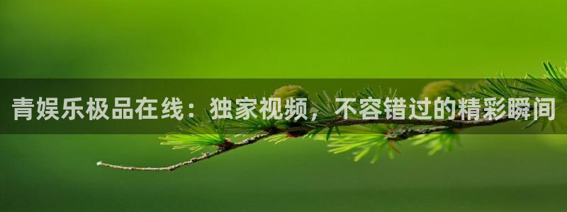 辉达平台体育注册平台：青娱乐极品在线：独家视频，不容错过的精彩瞬间