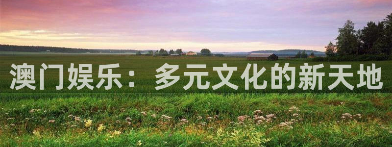 辉达平台是什么：澳门娱乐：多元文化的新天地
