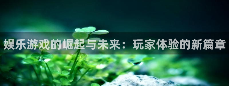 辉达平台平台官网：娱乐游戏的崛起与未来：玩家体验的新篇章