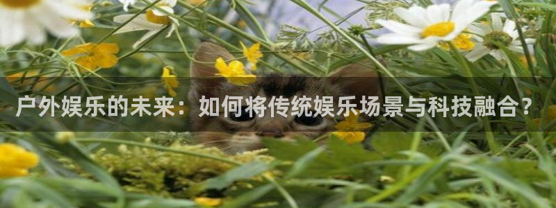 辉达平台电子游戏：户外娱乐的未来：如何将传统娱乐场景与科技融合？
