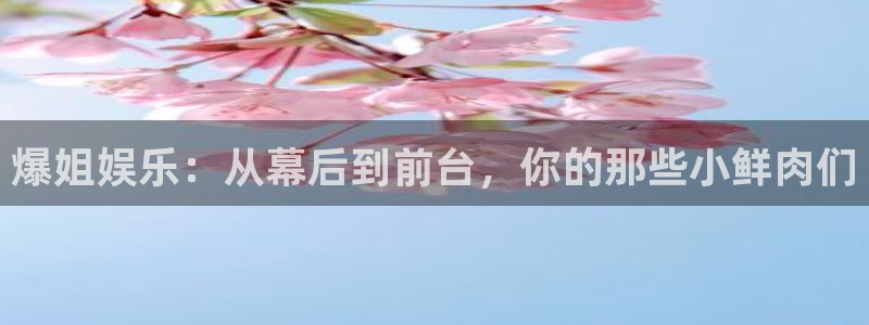 pg辉达平台平台下载入口：爆姐娱乐：从幕后到前台，你的那些小鲜肉们