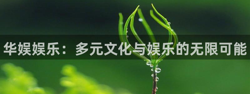 辉达平台游app：华娱娱乐：多元文化与娱乐的无限可能