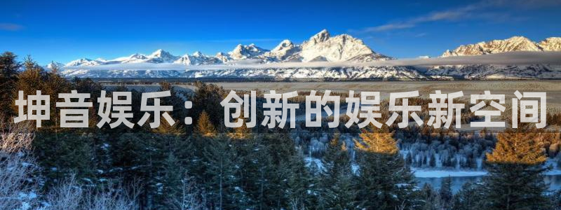 辉达平台加拿大在线预测：坤音娱乐：创新的娱乐新空间