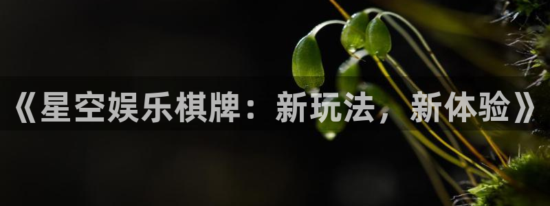 辉达平台3平台注册：《星空娱乐棋牌：新玩法，新体验》