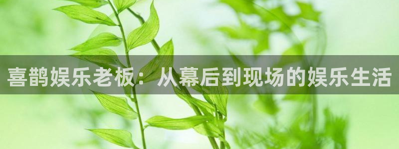 辉达平台体育平台注册：喜鹊娱乐老板：从幕后到现场的娱乐生活
