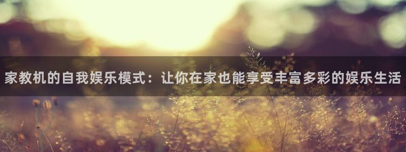 辉达平台可靠吗：家教机的自我娱乐模式：让你在家也能享受丰富多彩的娱乐生活