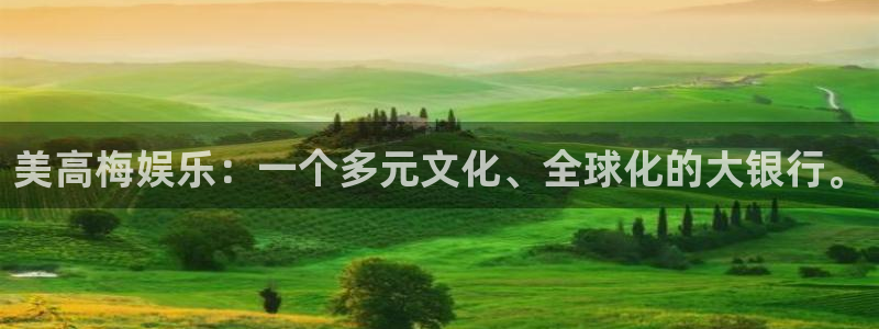 辉达平台2体育：美高梅娱乐：一个多元文化、全球化的大银行。