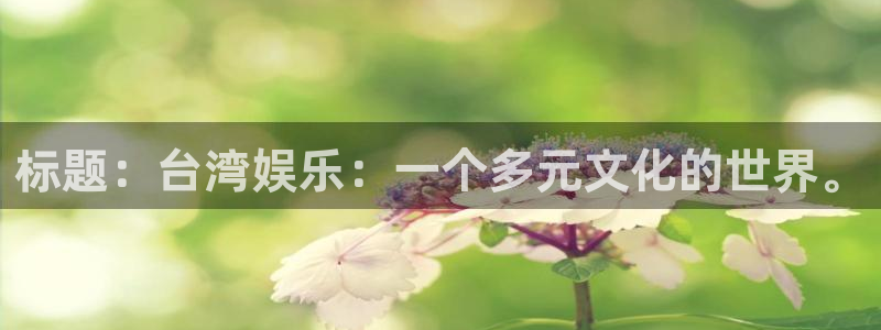 辉达平台平台链接：标题：台湾娱乐：一个多元文化的世界。