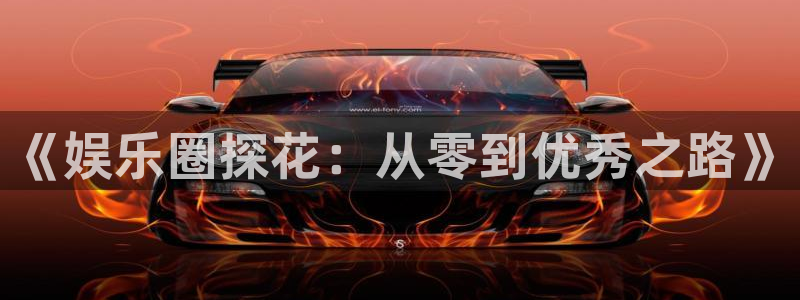辉达平台体育游戏：《娱乐圈探花：从零到优秀之路》