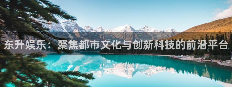 辉达平台pg：东升娱乐：聚焦都市文化与创新科技的前沿平台