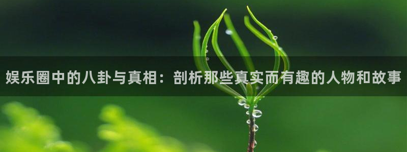 辉达平台：娱乐圈中的八卦与真相：剖析那些真实而有趣的人物和故事