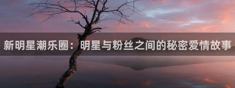 辉达平台预测pc在线预测网址：新明星潮乐圈：明星与粉丝之间的秘密爱情故事