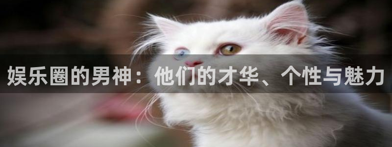辉达平台平台注册账号：娱乐圈的男神：他们的才华、个性与魅力