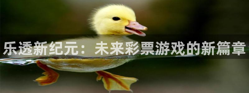辉达平台环保：乐透新纪元：未来彩票游戏的新篇章
