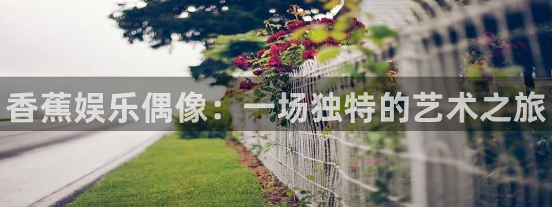辉达平台体育1招商：香蕉娱乐偶像：一场独特的艺术之旅