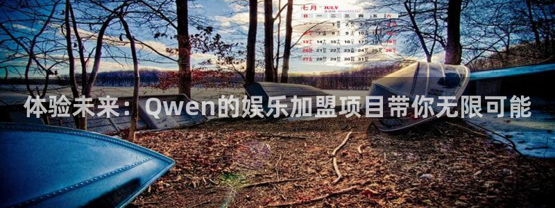 辉达平台4开户：体验未来：Qwen的娱乐加盟项目带你无限可能