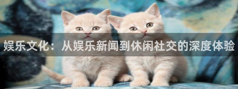 辉达平台2登录入口：娱乐文化：从娱乐新闻到休闲社交的深度体验