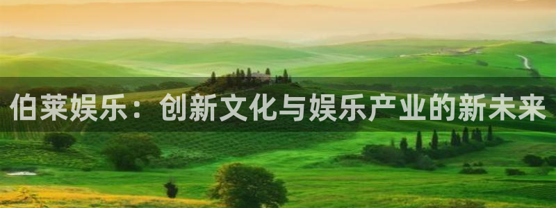 辉达平台2登录：伯莱娱乐：创新文化与娱乐产业的新未来
