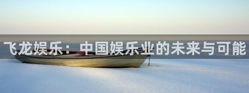 辉达平台app 是什么：飞龙娱乐：中国娱乐业的未来与可能