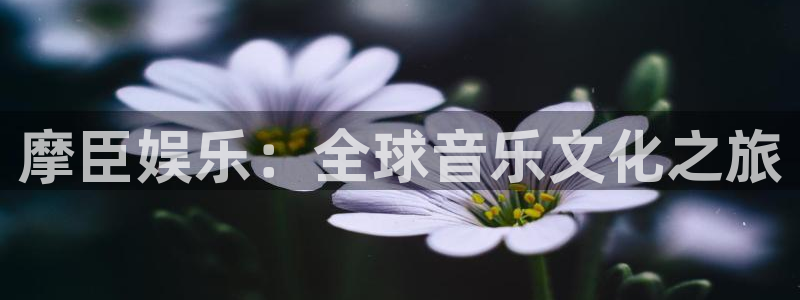 辉达平台3官网登录：摩臣娱乐：全球音乐文化之旅