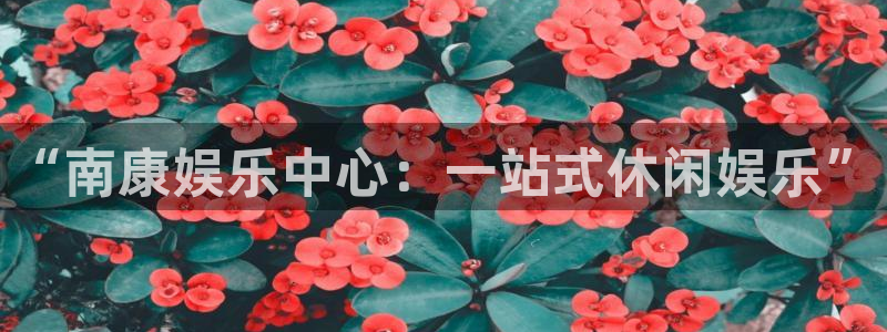 辉达平台平台官方网站：“南康娱乐中心：一站式休闲娱乐”