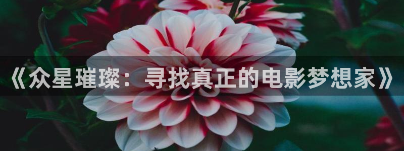 辉达平台官方网站：《众星璀璨：寻找真正的电影梦想家》