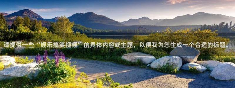 辉达平台包怎么样：请提供一些“娱乐搞笑视频”的具体内容或主题，以便我为您生成一个