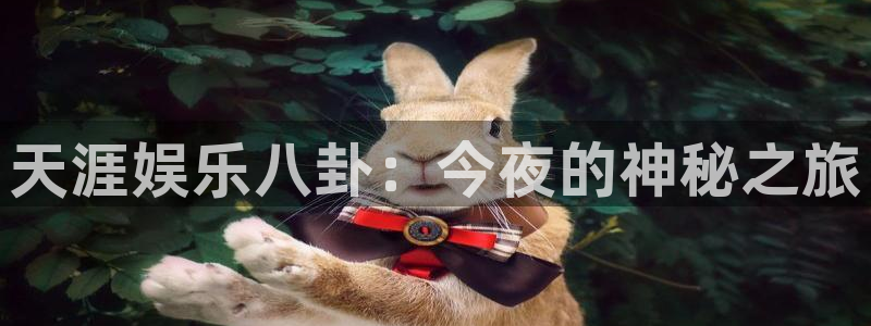 辉达平台免费注册：天涯娱乐八卦：今夜的神秘之旅