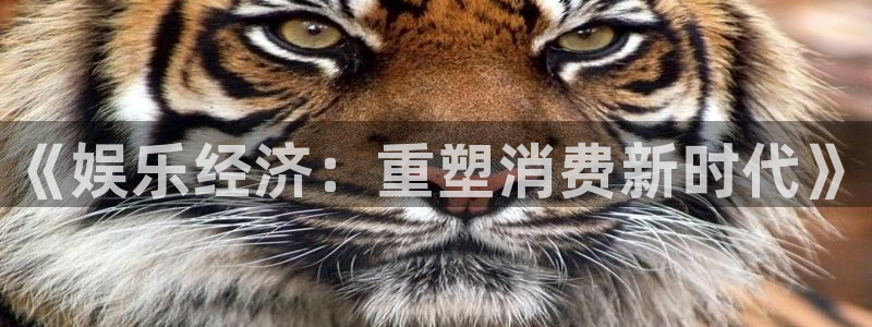 辉达平台4：《娱乐经济：重塑消费新时代》
