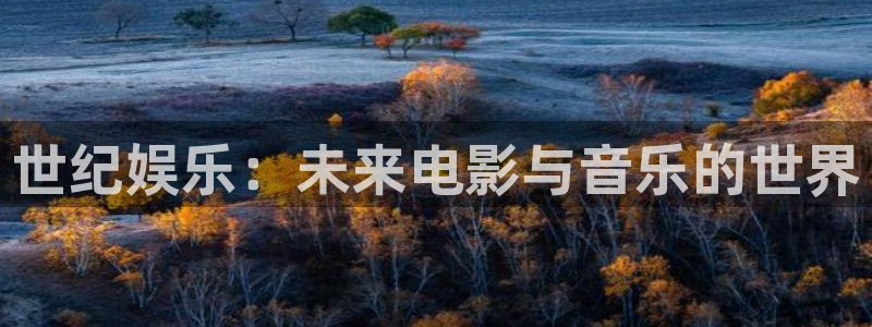 辉达平台加拿大app预测：世纪娱乐：未来电影与音乐的世界