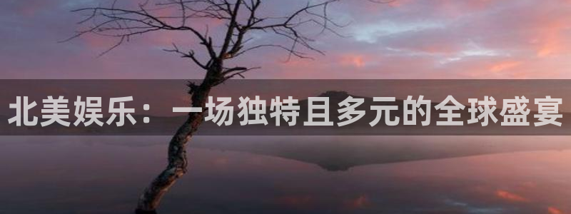 辉达平台注册：北美娱乐：一场独特且多元的全球盛宴