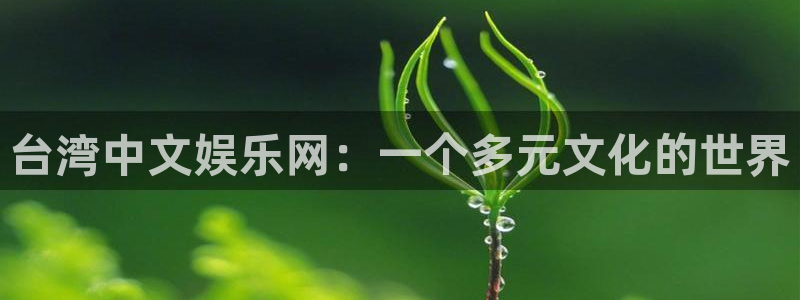 辉达平台网站平台：台湾中文娱乐网：一个多元文化的世界