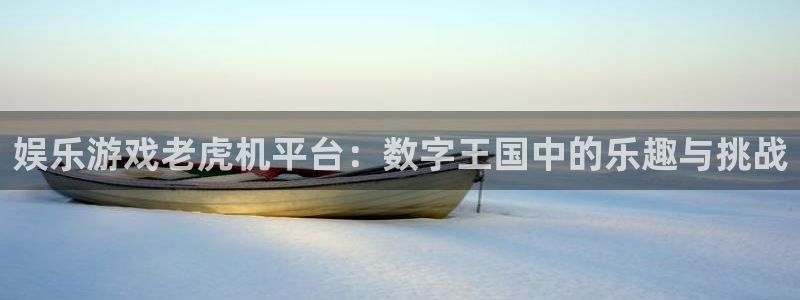 电子游戏辉达平台：娱乐游戏老虎机平台：数字王国中的乐趣与挑战