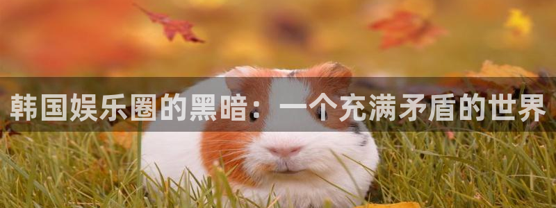 辉达平台预测在线预测：韩国娱乐圈的黑暗：一个充满矛盾的世界