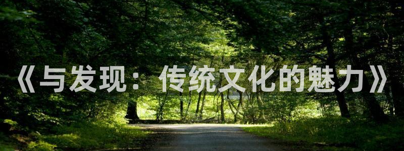 辉达平台是什么：《与发现：传统文化的魅力》