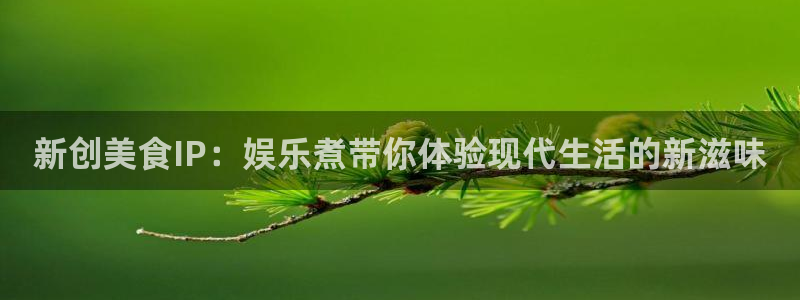 辉达平台登陆：新创美食IP：娱乐煮带你体验现代生活的新滋味