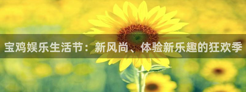 辉达平台的平台：宝鸡娱乐生活节：新风尚、体验新乐趣的狂欢季