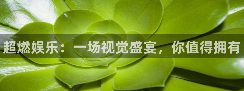 辉达平台电子娱乐官网下载：超燃娱乐：一场视觉盛宴，你值得拥有