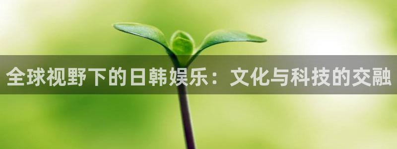成都辉达平台电子有限公司：全球视野下的日韩娱乐：文化与科技的交融