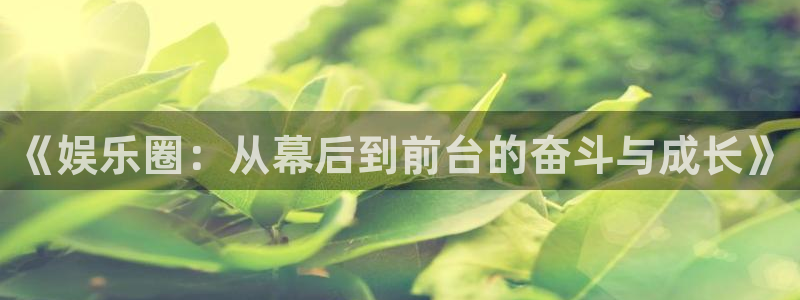 辉达平台注册网页版：《娱乐圈：从幕后到前台的奋斗与成长》