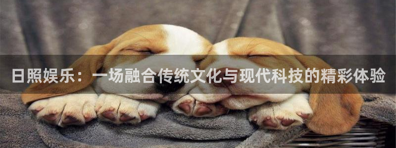 辉达平台f平台注册：日照娱乐：一场融合传统文化与现代科技的精彩体验