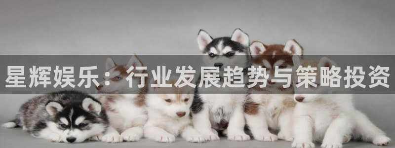 辉达平台招商：星辉娱乐：行业发展趋势与策略投资
