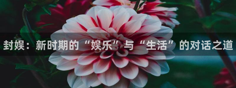 辉达平台.ccmpc登录：封娱：新时期的“娱乐”与“生活”的对话之道